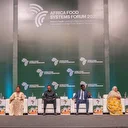 Sénégal : Ouverture du Forum africain des systèmes alimentaires