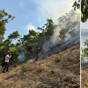 Bingöl'de orman yangını: Müdahale sürüyor