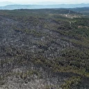 Karabük ve Kastamonu'da orman yangınlarına müdahale sürüyor