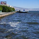 İzmir Körfezi'nde kirliliğe bağlı balık ölümleri sürüyor: Çocuklarımıza durumu anlatamıyoruz