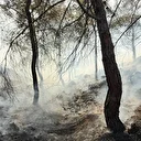 Antalya’da orman yangını hızlı müdahale ile büyümeden kontrol altına alındı