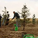 Denizli'de yangınlarda zarar gören alanlar 2 milyon 556 bin fidanla yeşillendirilecek