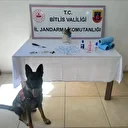 250 peçeteye emdirilmiş piyasa değeri 300 bin TL olan uyuşturucu ele geçirildi