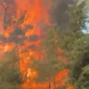 Manavgat'ta tarım arazisinde başlayan yangın ormanlık alana sıçradı