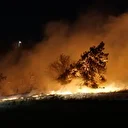 Tekirdağ'da anızda başlayan yangın ağaçlık alana sıçradı