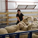 Kendi işinin patronu oldu: 'Sütü kokar’ dediler ama talebe yetişemiyor, devlet desteğiyle iki yılda her şey değişti