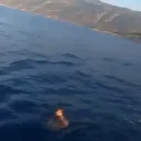 Yüzerek Yunan adasına kaçmaya çalışan firari yakalandı