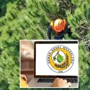 Bakanlık duyurdu: Orman Genel Müdürlüğü 262 daimi işçi alacak