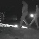 Ormanda bozayı vuran kaçak avcılara toplam 170 bin TL ceza