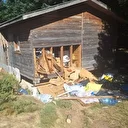 Uludağ'da ayı, girdiği barakada hasar oluşturdu