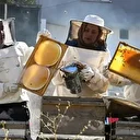 Devlet desteğiyle arıcılığa başlayan kadınlar merada kara kovan balı üretiyor