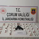 Çorum'da uyuşturucu ticaretine operasyon: 3 kişi tutuklandı