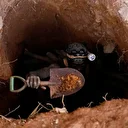 Effondrement d'une mine au Nigeria: au moins 18 morts, des dizaines de disparus