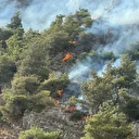 Söke'de orman yangını: Havadan ve karadan müdahale sürüyor