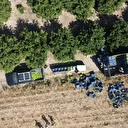 Geçen yıl bahçede de tezgahta da fiyatı ucuzdu, 1 liradan 20 liraya yükseldi: Bu sene işler değişti, fiyatı rekor kırdı