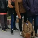 Edirne ve Kırklareli'nde 15 düzensiz göçmen yakalandı