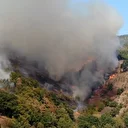 Düzce'de çıkan orman yangınına müdahale ediliyor