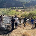 Alevlere ilk müdahale milletvekillerinden