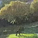 Şişli'de ağaçlık alanlarda yangın çıkaran şahsın görüntüsü kameraya yansıdı