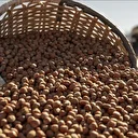 Ticaret borsalarında 12 ayda 649 bin tondan fazla fındık işlem gördü