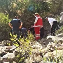 Bir koyunun uçurumdan düşmesiyle 334 oyun telef oldu: Hepsi aşağı atladı