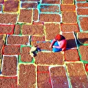 Dergilik: Ölüm, Oyun ve Kurmaca