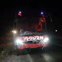 Otobüs ve cipin çarptığı inekler telef oldu