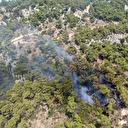 Antalya'da orman yangını: Olay yerine çok sayıda ekip sevk edildi