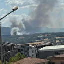 Çanakkale’de orman yangını