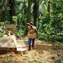 RDC : 80 civils tués dans une attaque rebelle