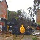 Tropikal fırtına: 15 ölü