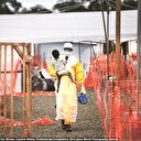 10 bin kişi Ebola’dan öldü