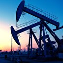 Bilim adamlarından Kanada'ya petrol kumu çağrısı