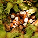 10 bin işçi aranıyor