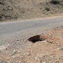 Tunceli’de askere büyük tuzak!