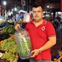 Damacanada karpuz 250 lira