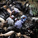 Yüzyıllardır süregelen gelenek