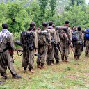 Financial Times PKK'ya terör örgütü demedi