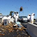 Kovan yüklü kamyon devrildi: 100'den fazla kişiyi arı soktu