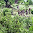 HDP aracılığıyla PKK'ya eleman kazandırmış