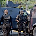 Hainlere 3 haftada ölümcül darbe