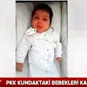 Bebek katili PKK!