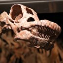 En büyük dinozor: Titanozor