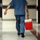 Çapraz nakille yaşama tutundular