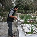 Hatay'da şehit mezarlarına çirkin saldırı
