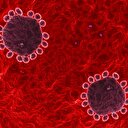 Çocuklarda hemofili hastalığı