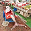 İçinden çıkan şaşkına çevirdi