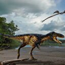 Timurlengia: En zeki dinozor!