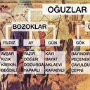 Boy boy Türklerin soy ağacı
