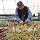 'Siyah elmas' Türkiye'de üretilecek
